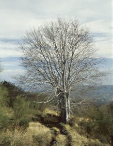 Attenzione verso l’ambiente, presenza e assenza dell’uomo e delle sue costruzioni.