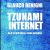 Tzunami Internet
