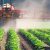 Eco-Umanesimo senza pesticidi né ogm